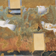 Rock pigeons in the facsimile paintings.